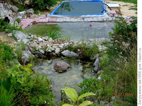 пруд