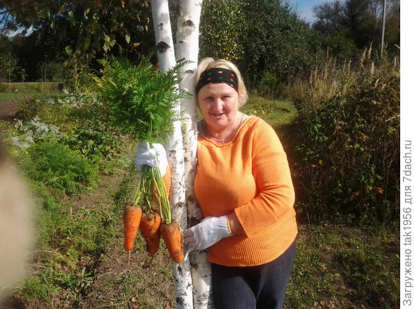 подружка с моей морковкой