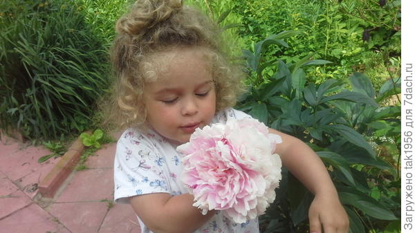 Несказанно рады!