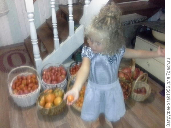 Вот сколько собрали!