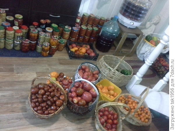 Веранда похожа на овощную базу...