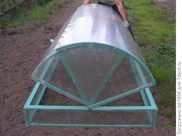 Фото скачано из интернета, автор неизвестен.