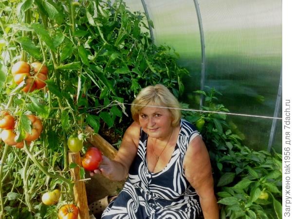 хозяйка теплицы