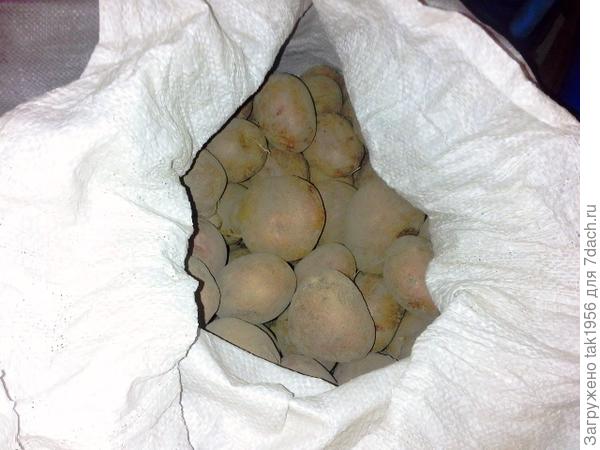 Кураж