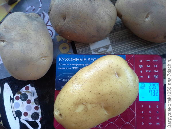 И не самая крупная...