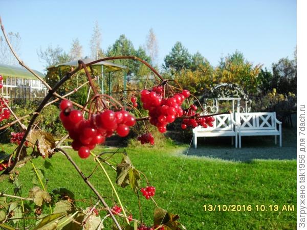 осень