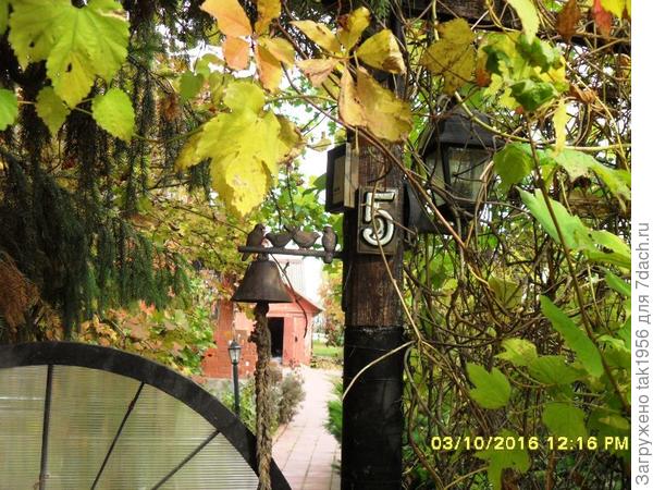 Заходи, Осень! Здесь и тебе рады!