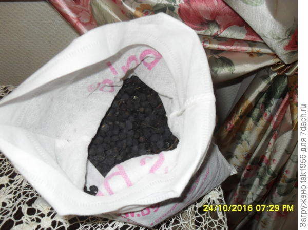 Сушеная арония