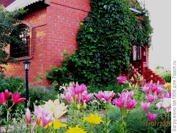 Не было ни одного года, чтобы мы не делали что-то в доме… Ну, это беда всех людей, у которых есть мечты, но мало средств (на зарплату сразу всё не построишь!). Есть у нас фундаментальные ошибки, которые пришло время исправлять — холодная веранда с лестницей в холодную мансарду.