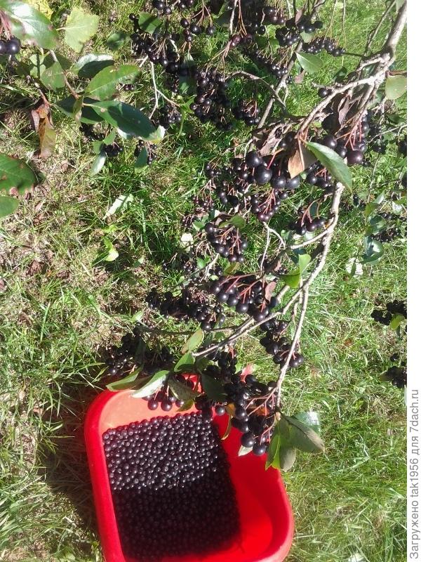 А это летом