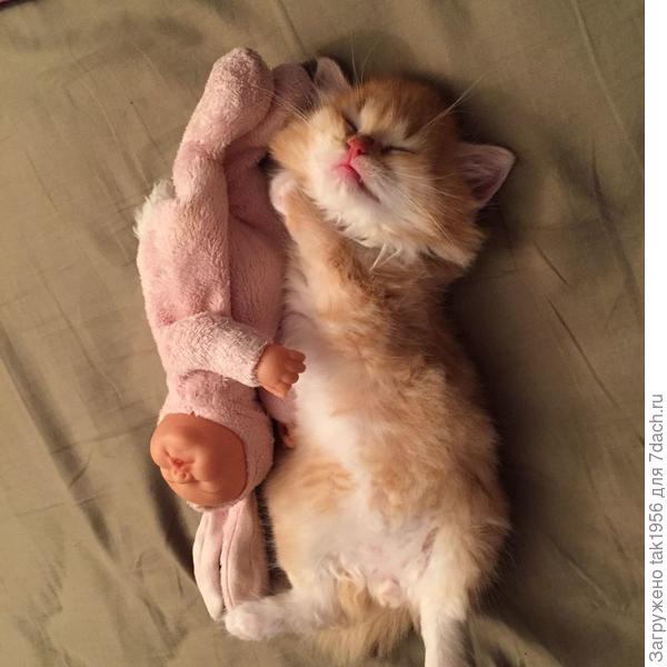 После недели в домашних условиях.