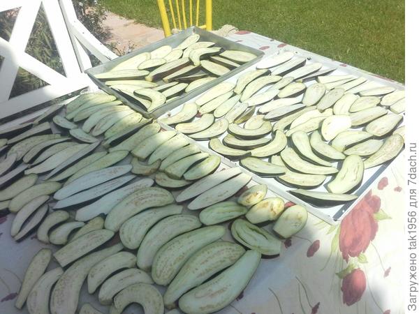 Готовы к обжарке