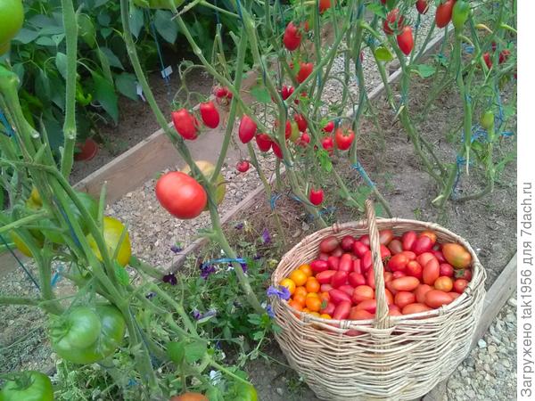 На консервацию