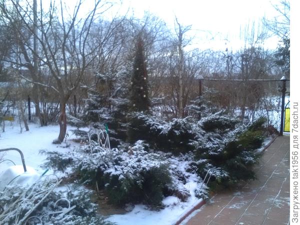 А вот и Старый новый год! Снегом припорошило несколько дней назад, пока лежит. И мороз ночами до -10.