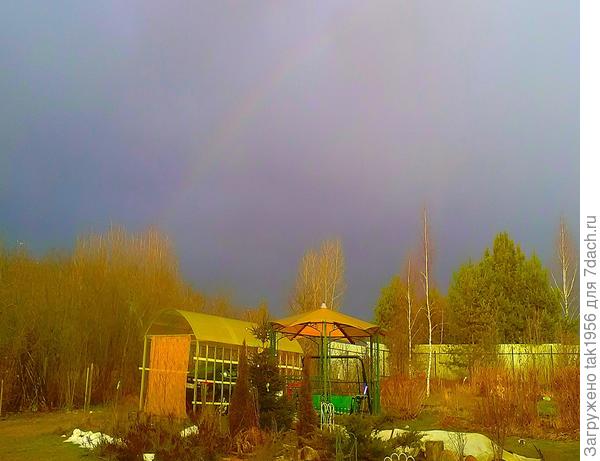 Радуга на Рождество