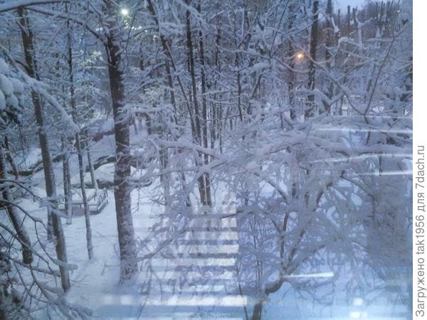 Вид из окна, на котором стоят первые стаканчики с посеянными перчиками