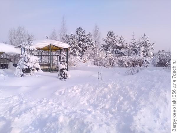 Хороша Зимушка-зима!