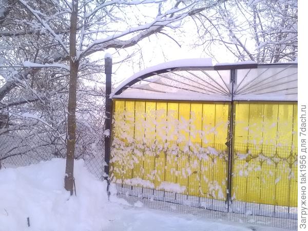 Редкое солнышко заменяют ворота...