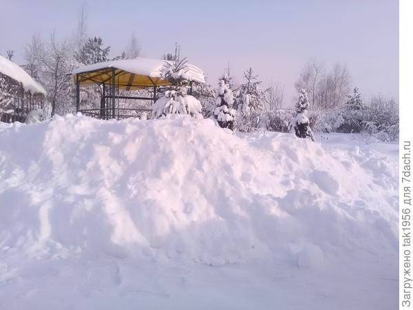 Вот такие!