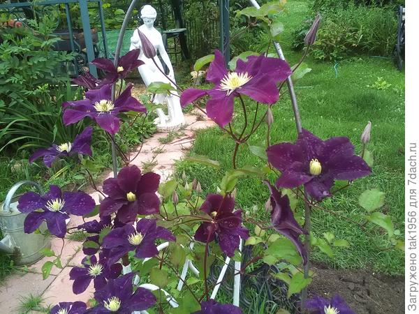 С Днём рождения