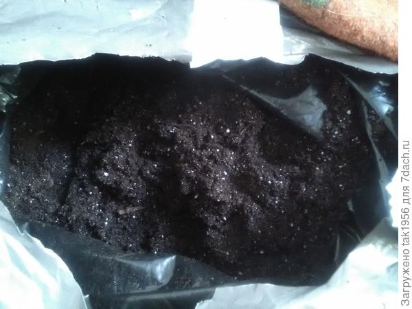 Структура почвы