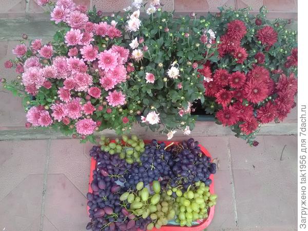 Угощайтесь!!!