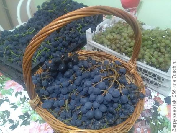 Последний винный тоже убран.