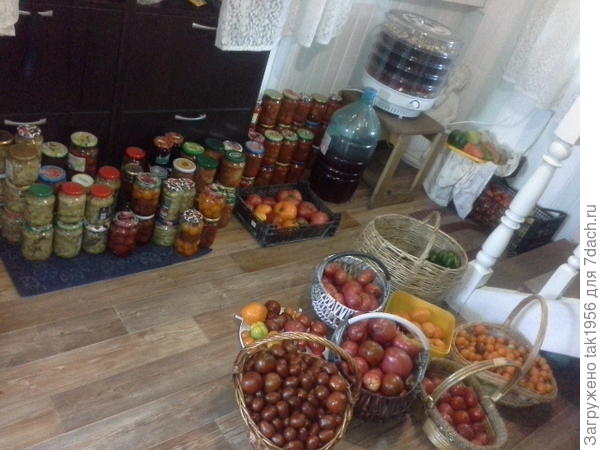 Думаю, меня не осудят за массу фото, ведь все, наверное, соскучились по урожаю...