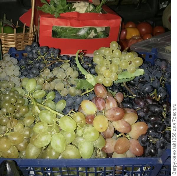 9 октября, последний урожай с улицы в багажнике машины