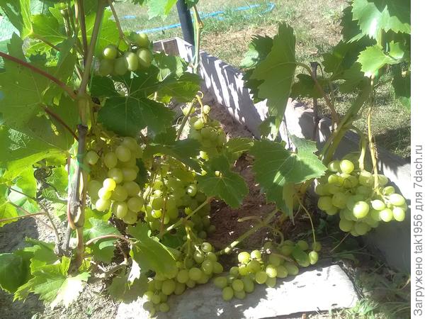 На улице, 2018