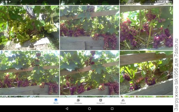 На улице, 2018