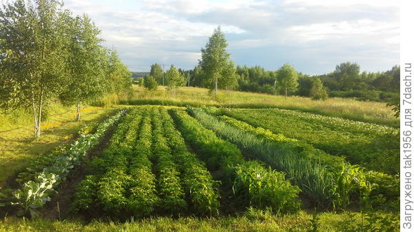 Тоже ведь красиво?