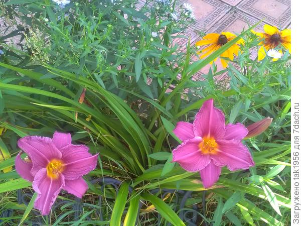 И этот новый