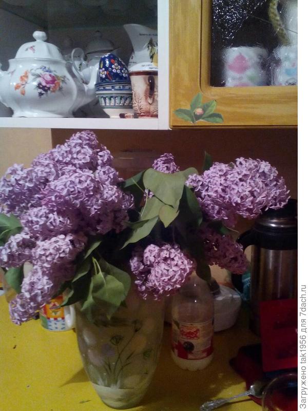 Поздравляю