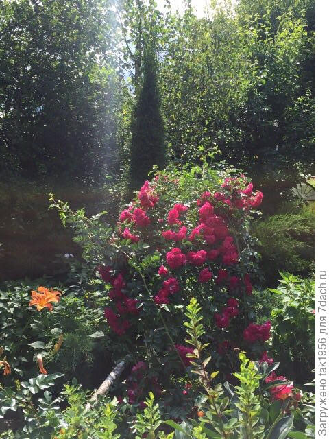 Милый уголок