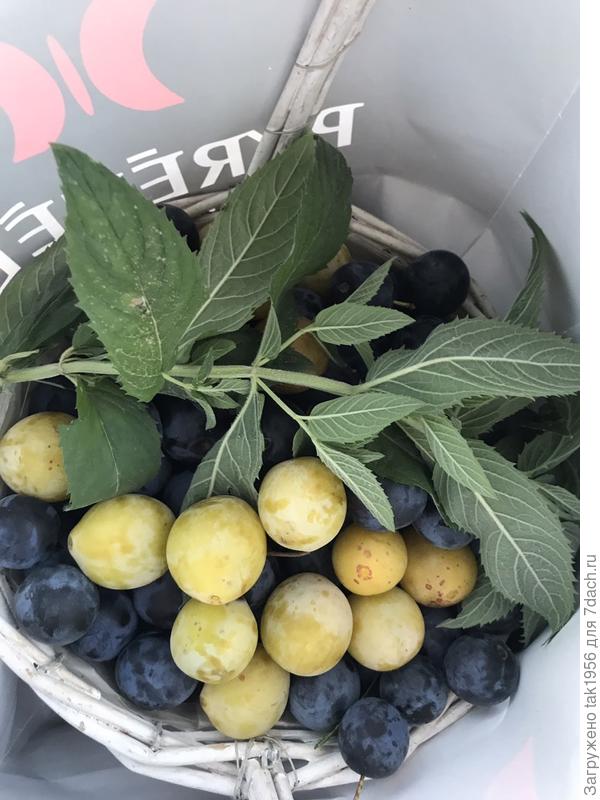 Угощайтесь