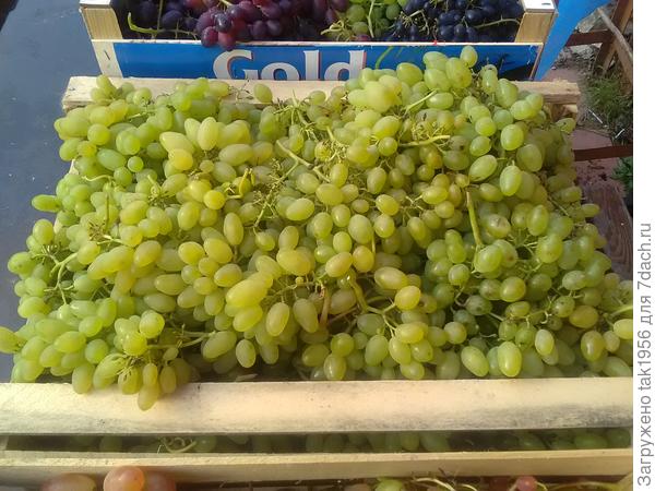 Восторг Богатяновский