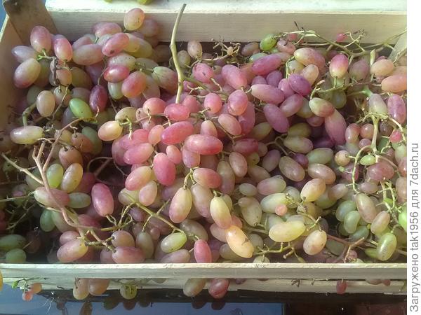 Преображение