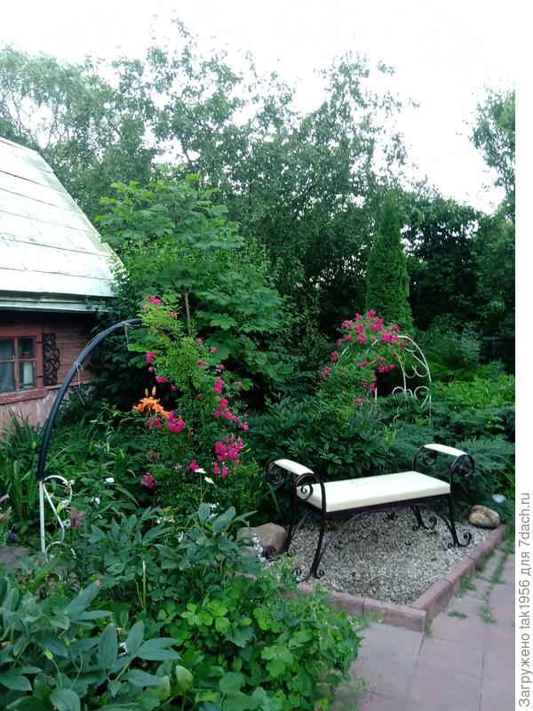 Уголок с розами