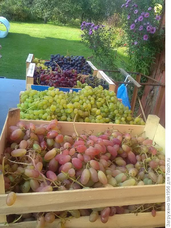 Впереди Преображение