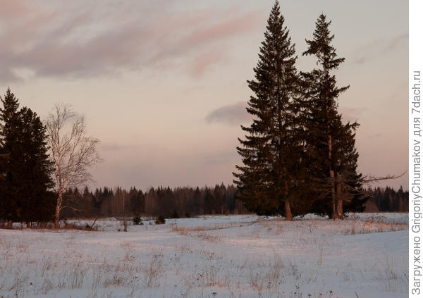 Ёлки моего детства