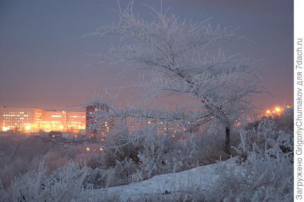 Зима в Красноярске