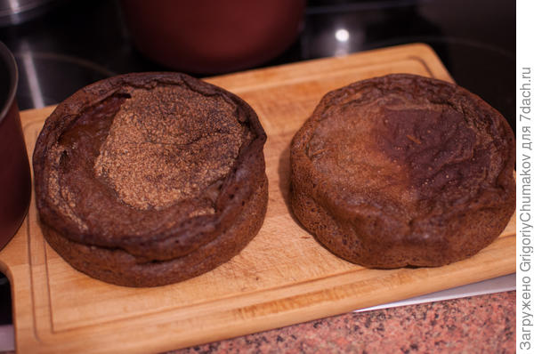 вытрясли из форм