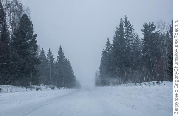 Вот февраль нынешнего года в деревне