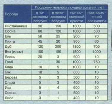 срок жизни древесины