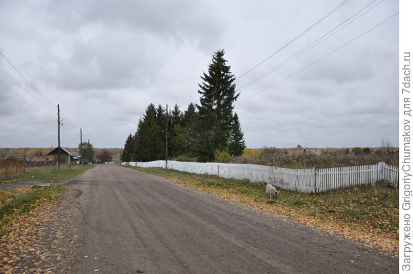 Маталассы