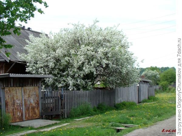 Просто красота