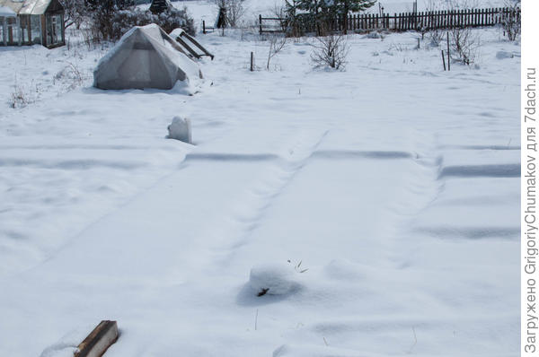 Грядки в шубке :)