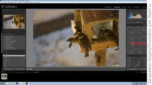 высветляем темные места бегунком тени