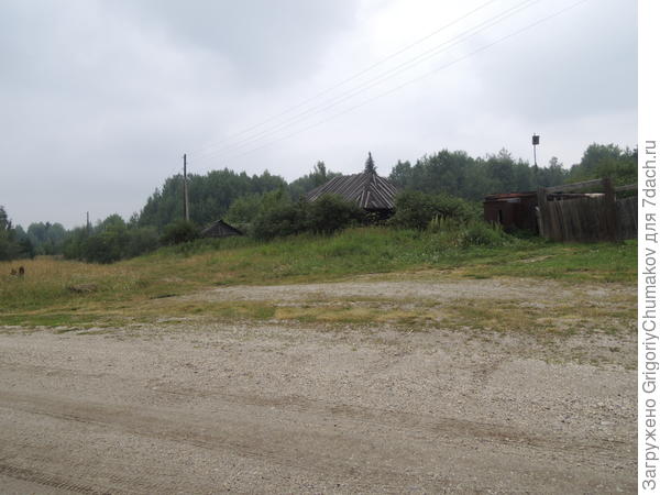 заросший бурьяном дом